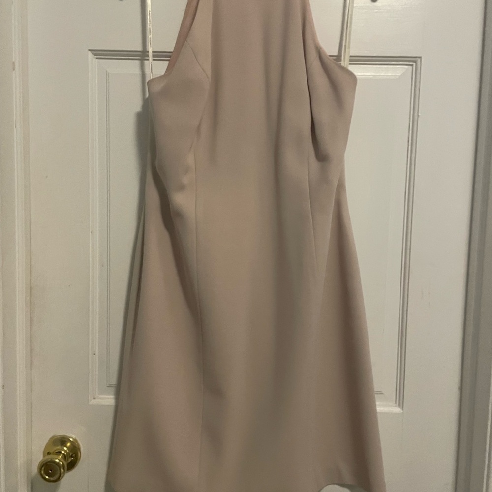 Laundry By Shelli Segal Strapless Light Pink Backless Dress